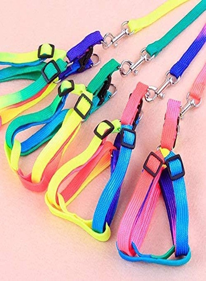 Pups&Pets Rainbow Color Puppy Harness & Leash Set Small Dog Harness Leash Size 15 MM (Harness + Leash) - Image 3